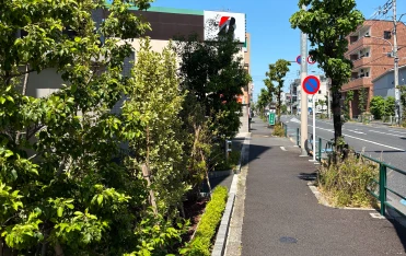千川通り沿いの医院へ向かう歩道